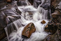 WM_NH_Color_20241006_003-16_edit_2_VERO